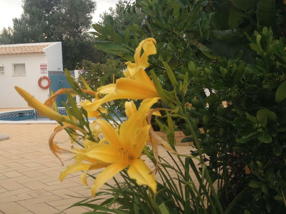 Vilabranco Albufeira Dış mekan fotoğraf
